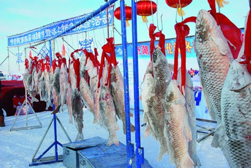 Big fish from the first catch are displayed on the frozen Hulun Lake. Photos by Kong Xiaoning / For China Daily