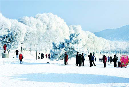 Locals and tourists marvel at the soft rime on tree branches in Jilin, hailed as one of China's top natural wonders. Liu Bo / for China Daily