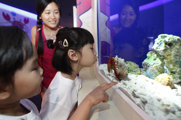 Children observe rare shrimp and crabs in the aquarium. Wu Ni / China Daily