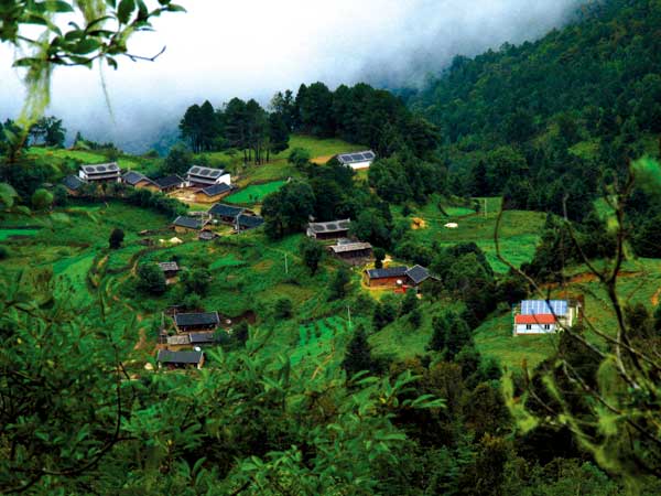 Boduoluo village near the ancient town of Lijiang in Yunnan province is now covered by lush forests thanks to the efforts of environment activists and local villagers.  