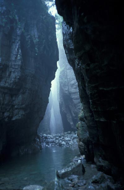 An underground river runs through the bottom of the sinkhole to a nearby cave. Provided to China Daily