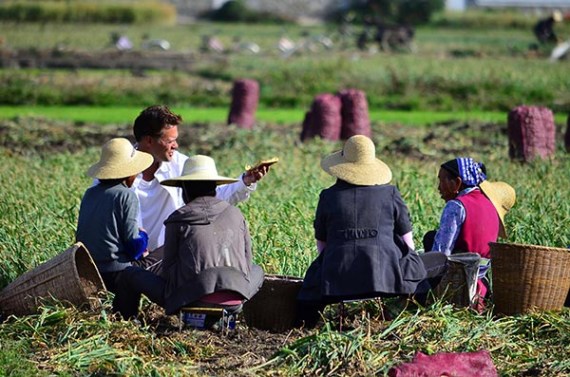 Brian Linden shares bread during garlic harvest. The American runs the Linden Centre in Xizhou township, Dali. Mike Peters / China Daily  