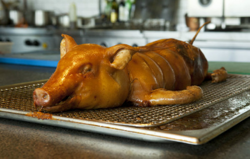 The suckling pig entree (Photo provided to China Daily)