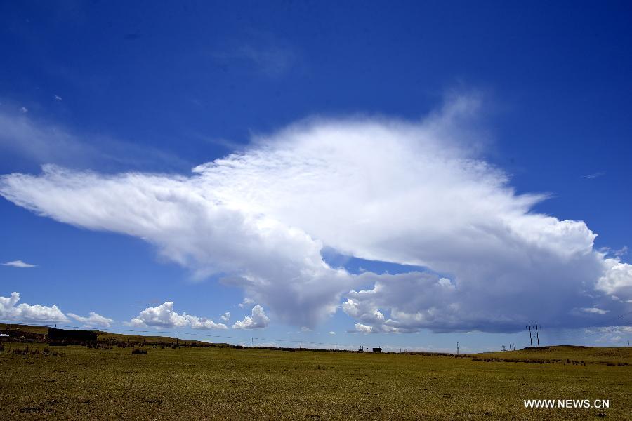 scenery of clouds in n china"s inner mongolia(6/7)