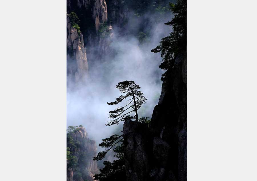 A magnificent view of a sea of clouds appears at the renowned Mount Huangshan scenic spot in Anhui province, May 30,2016.The famous holiday resort looks even more spectacular after a heavy storm, when the sky is clear and clouds cluster above the mountain to add an air of mystery. (Photo/Xinhua)