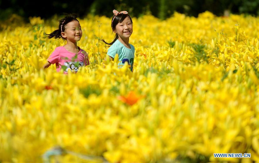 Tourists enjoy the scenery of lily flowers at Shenshuiwan Park in Shenyang, capital city of northeast China\'s Liaoning Province, July 2, 2016. (Xinhua/Zhang Wenkui)