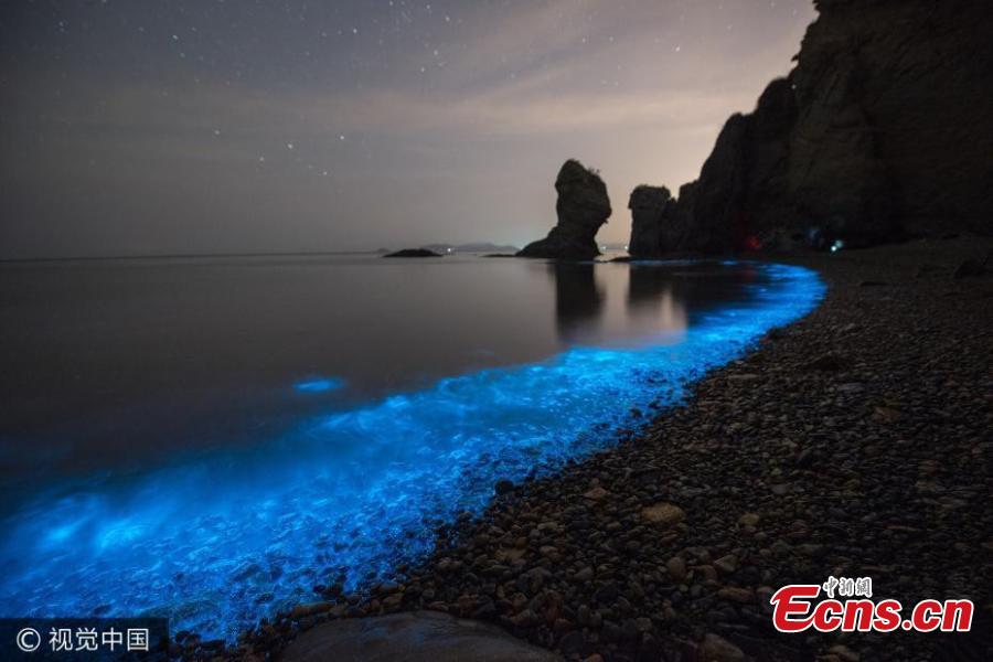 The blue glow from bioluminescent plankton light up the Xiaoheishi sea area off the coast of China’s Dalian, Northeast China\'s Liaoning province in May, 2017. (Photo/CFP)