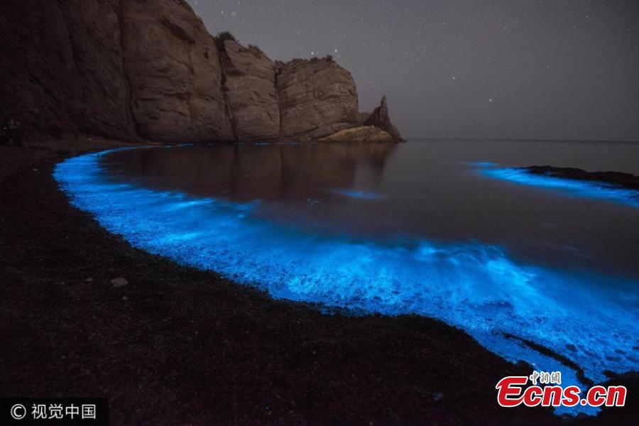 
The blue glow from bioluminescent plankton light up the Xiaoheishi sea area off the coast of China’s Dalian, Northeast China\'s Liaoning province in May, 2017. (Photo/CFP)