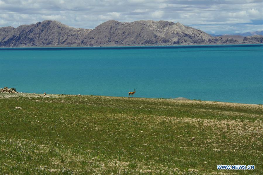 View Of Serling Tso Lake In SW China's Tibet(2/7)