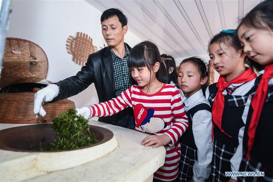 Students process herbal medicine under the instruction of their teacher at Baixian Central School in Changxing County, east China\'s Zhejiang Province, Nov. 3, 2017. A thematic education activity was held on Friday at the primary school, the county\'s traditional Chinese medicine (TCM) education base. More than 180 species of TCM were planted in the school\'s plantation. (Xinhua/Xu Yu)