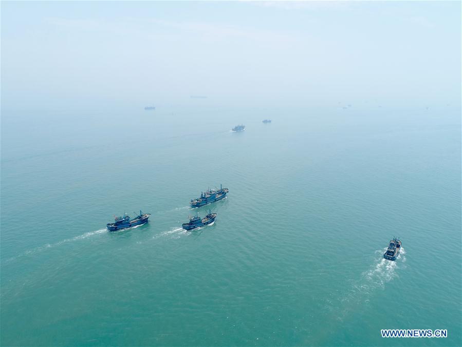 In this aerial photo taken on Aug. 1, 2018, fishing boats depart for fishing in Xiangzhi Town in Shishi City, southeast China\'s Fujian Province. Fishing boats are ready to fish after the three-month fishing ban in Fujian. (Xinhua/Jiang Kehong)