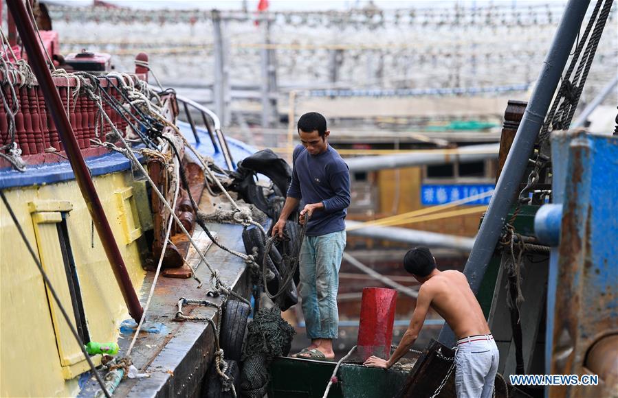 Fishermen fix fishing boats at a fishing port in Sanya, south China\'s Hainan Province, Sept. 14, 2018. Mangkhut, the 22nd typhoon this year, is expected to land in south China\'s Guangdong and Hainan provinces on the night of Sept. 16. (Xinhua/Yang Guanyu)