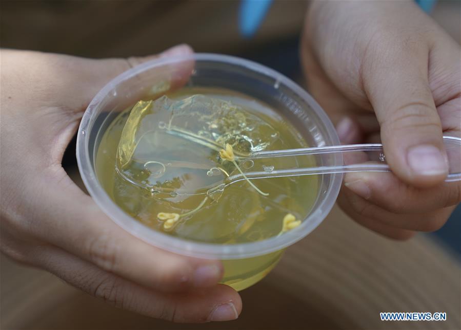 A tourist tastes a snack made of sweet-scented osmanthus at the Guilin Park in Shanghai, east China, Oct. 13, 2018. Over 1,000 trees of sweet-scented osmanthus at the park were in full blossoms in recent days. (Xinhua/Liu Ying)