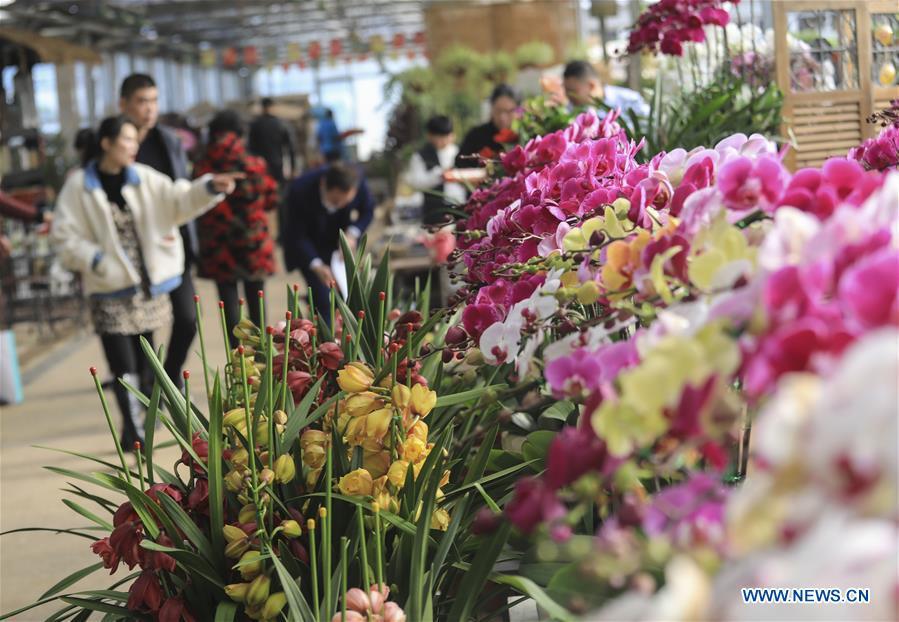 People choose flowers at a flower market in Linyi, east China\'s Shandong Province, Jan. 17, 2019. Suppliers and vendors in flower retail sector across China are busy preparing flowers to meet customers\' demands as the Spring Festival approaches. The Spring Festival, or the Chinese Lunar New Year, falls on Feb. 5 this year. (Xinhua/Xu Chuanbao)