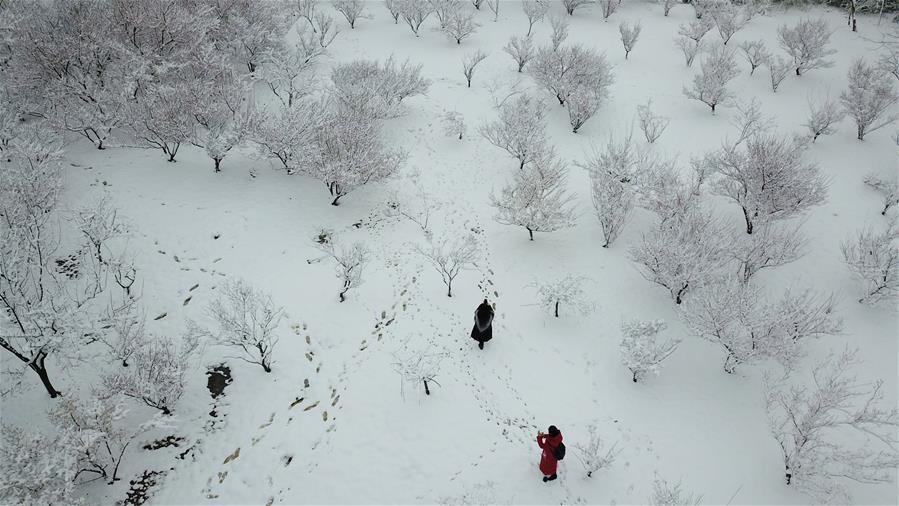 Aerial photo taken on Feb. 9, 2019 shows tourists visiting a snow-covered park in Yangzhou, east China\'s Jiangsu Province. (Xinhua/Meng Delong)