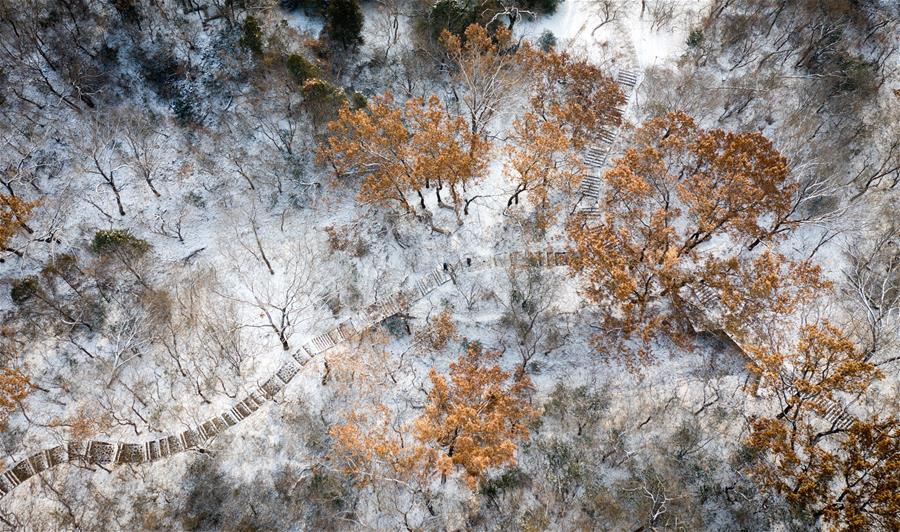 Aerial photo taken on Feb. 9, 2019 shows the snowy scenery of Xiangshan park in Huaibei, east China\'s Anhui Province. (Xinhua/Wang Wen)