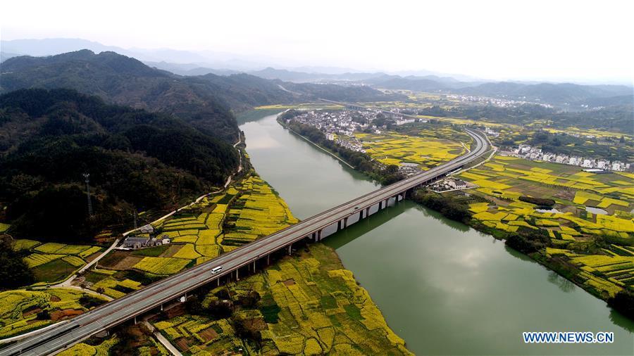 Aerial photo taken on March 26, 2019 shows the scenery of Jintang Island of Zhoushan, east China\'s Zhejiang Province. (Xinhua/Yao Feng)