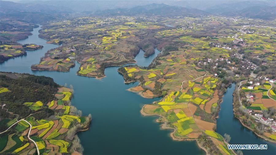 Aerial photo taken on March 25, 2019 shows the scenery of cole flower fields in Yangxian County, Hanzhong City, northwest China\'s Shaanxi Province. (Xinhua/Luo Hantao)