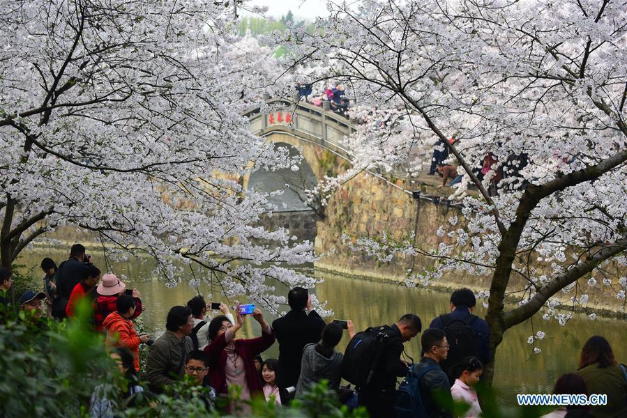 Visitors enjoy cherry blossoms at the Yuantouzhu scenic spot of the Taihu Lake in Wuxi, east China\'s Jiangsu Province, on March 30, 2019. (Xinhua/Huan Yueliang)