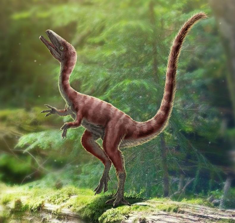 chinese dinosaur