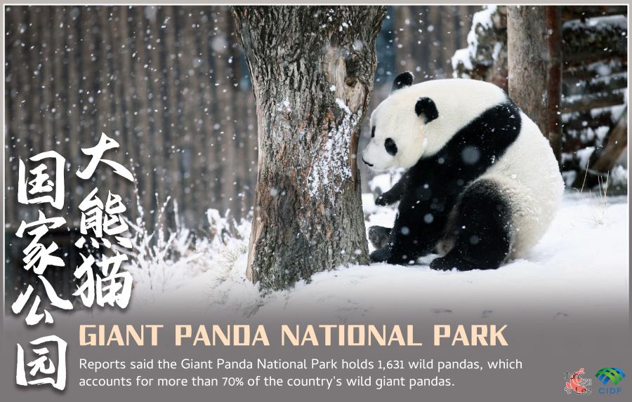 Giant Panda National Park at a glance