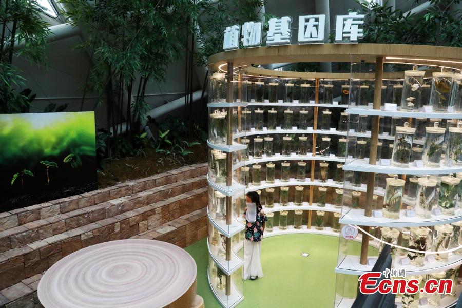 Exploring biodiversity at horticultural exhibition 2024 in Chengdu