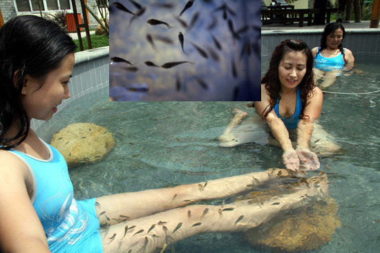 Garra Rufa and visitors enjoying the fish cleaning water treatment. [Photos: CFP]