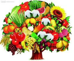 In summertime, vegetables and fruits usually become extremely popular at the dinner table. 