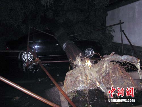 Water accumulated to above knee-level on Baiwanzhuang South Street, Xicheng District. Several cars were hit by a fallen tree.