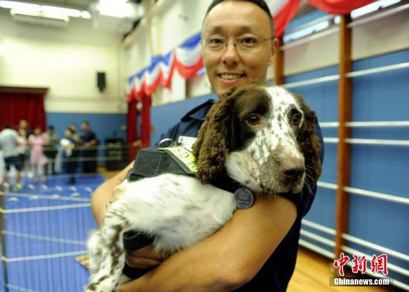 do therapy dogs fly free