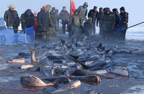 It's -30 C but that doesn't deter tourists and local residents near Shitoukoumen reservior from taking part in a major winter fishing event, on Dec 23. [Photos by Bai Shi / For China Daily]