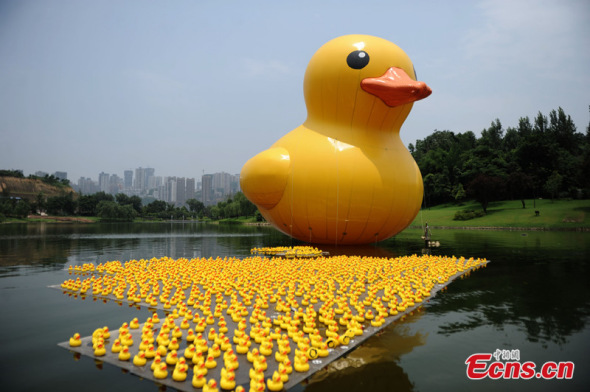 A scaled replica of the Rubber Duck by Dutch conceptual artist Florentijn Hofman is seen floating in a river of a park in Chongqing on June 20, followed by hundreds of small-sized ones. [Photo: CNS Zhangchao]