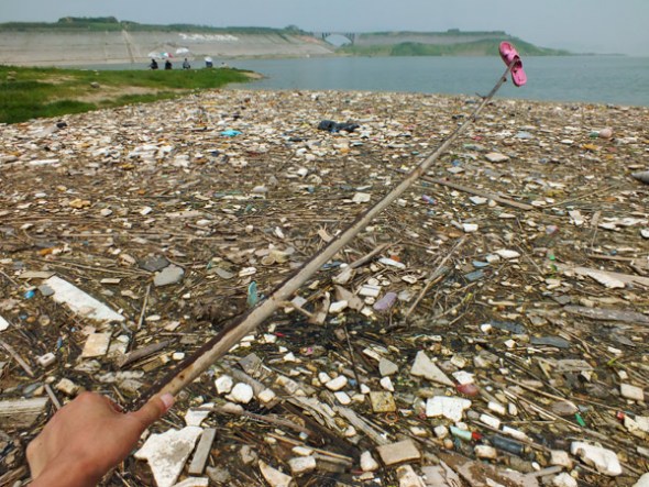 Floating garbage on Yangtze River in the upper reaches of Three Gorges Dam, in Yichang, Central China's Hubei province on July 15, 2013. [Photo by Liujunfeng/Asianewsphoto]