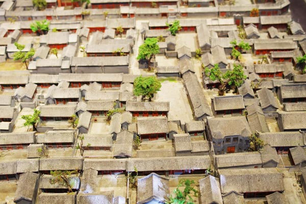 Beijing's hutong, the traditional narrow alleys that wind through the city, are struggling to survive, slowly disappearing in the name of modernization.[Photo provided to China Daily]  