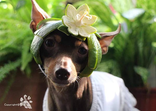 Chic photo of Xiao Pi. (Photo provided to chinadaily.com.cn)