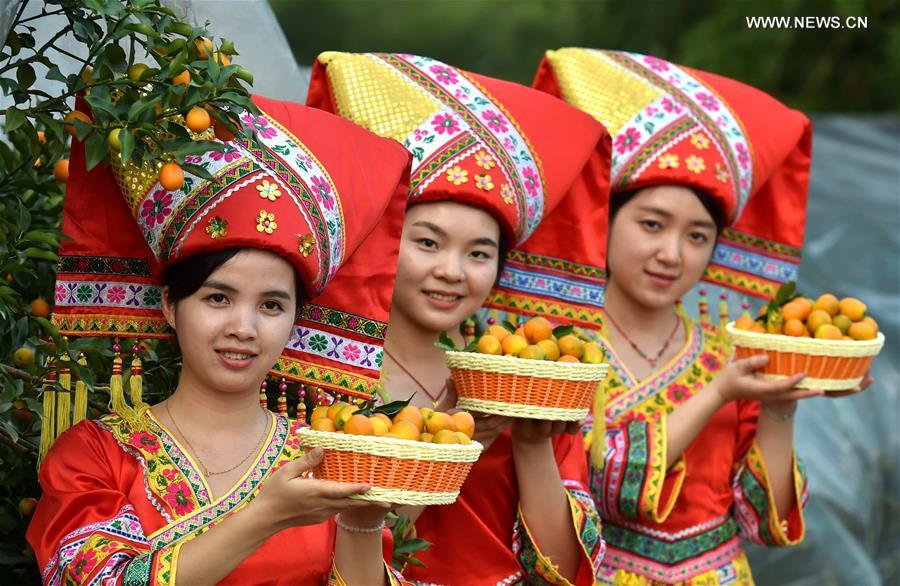 Women in traditional costumes of Zhuang ethnic group present kumquat fruit in Rongan County, south China's Guangxi Zhuang Automonous Region, Nov. 18, 2016. Kumquat gardens in Rongan entered the harvest season. (Xinhua/Huang Xiaobang)