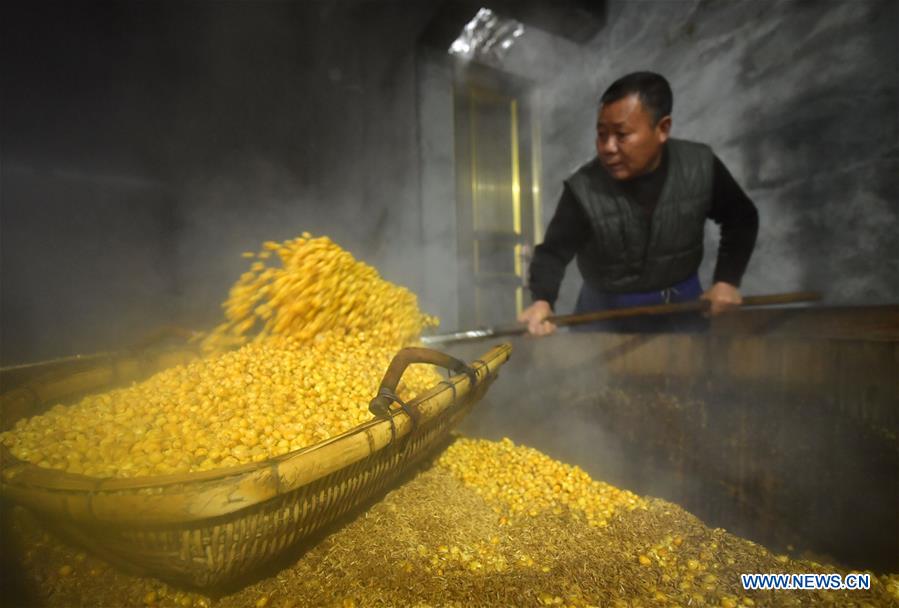 A look at production process of corn wine in Hubei