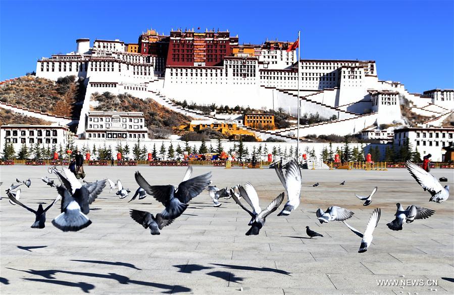 Early spring scenery in Lhasa, SW China's Tibet