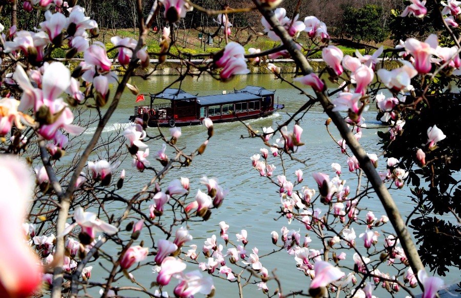 Early spring scenes full of life in Suzhou, Jiangsu Province