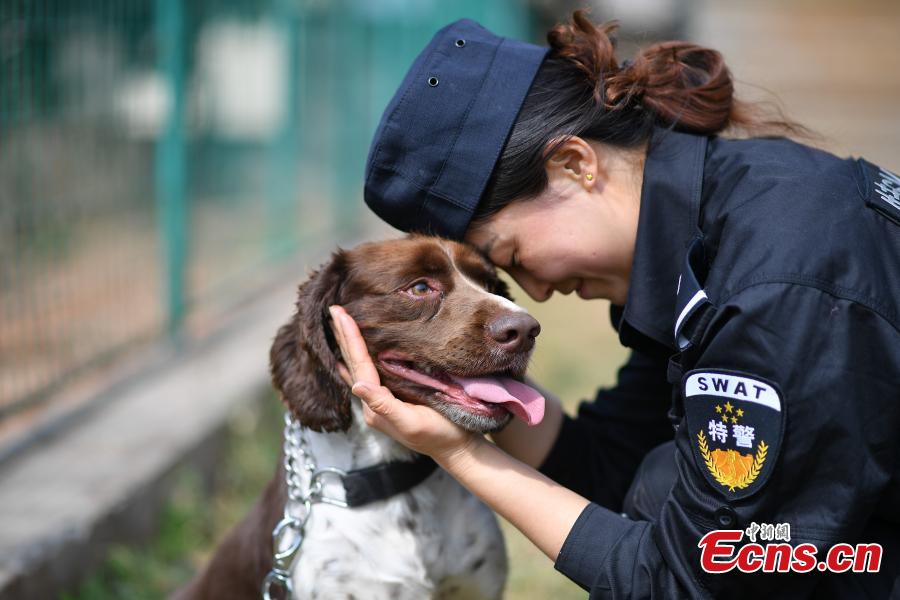 Woman makes progress training police dog
