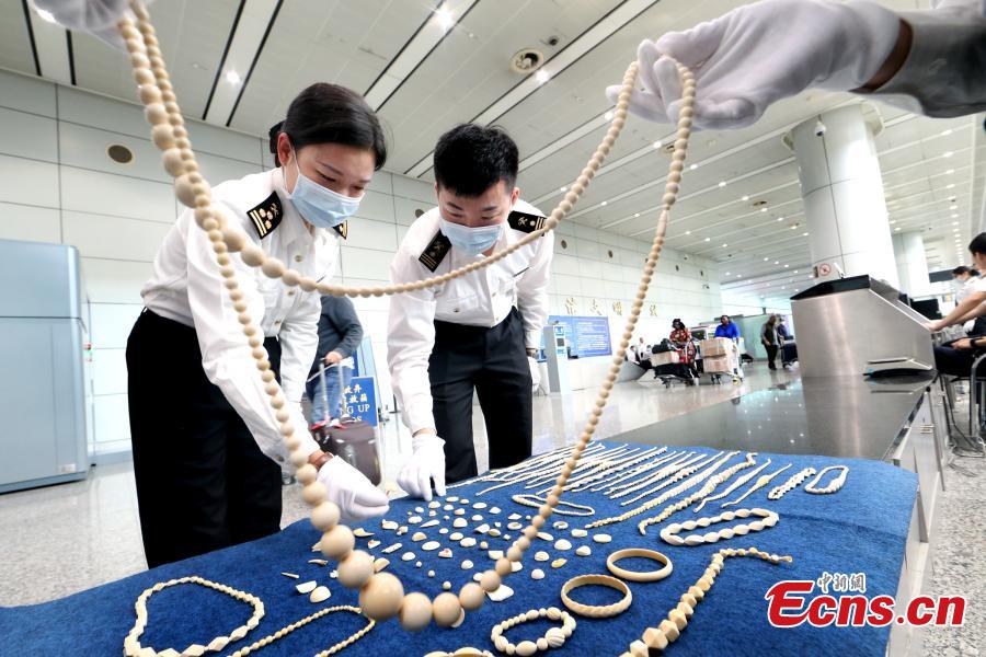 Guangzhou customs seize 24 kg of ivory products in Q1