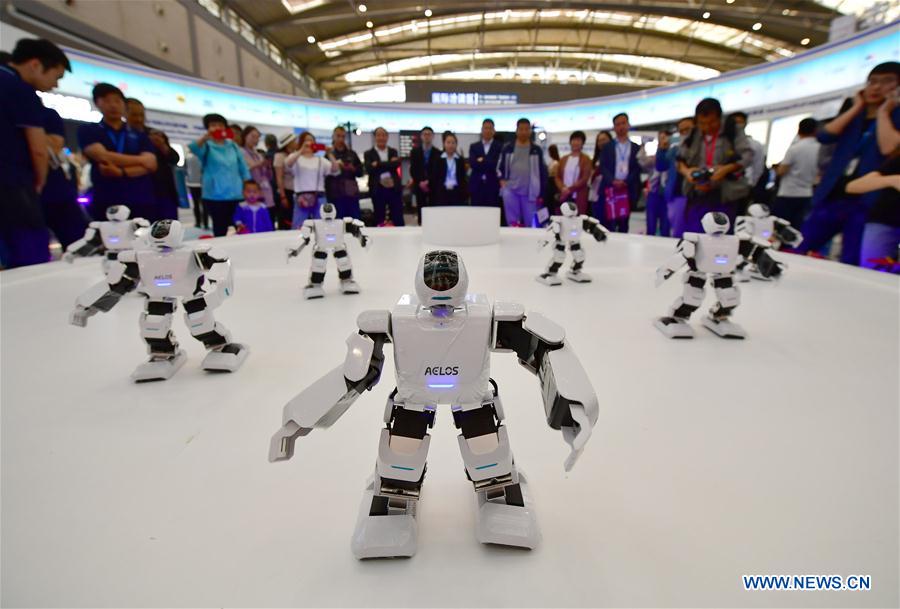 Robots featured at Silk Road expo in China's Xi'an